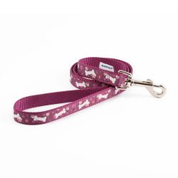 Ancol Fashion Dog Lead