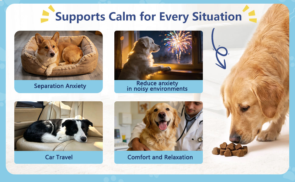 Calming Chews For Dogs. 60 Soft Chews Per Tub.
