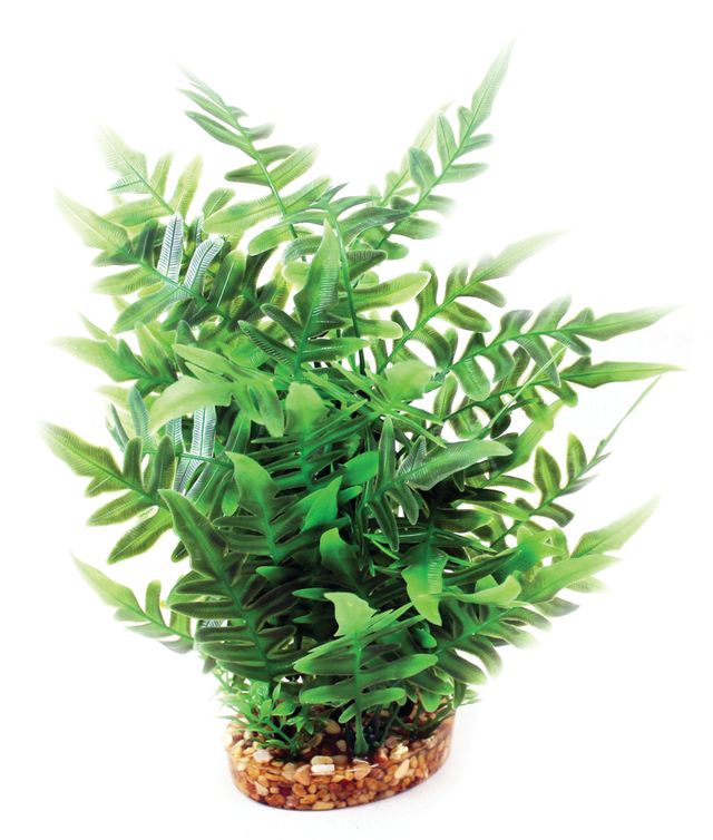 Vibrance-Green Fern With Gravel Base L Aquarium Plant