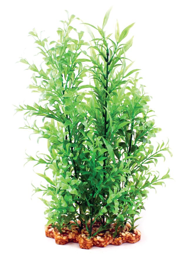 Vibrance- Wisteria With Gravel Base XL Aquarium Plant