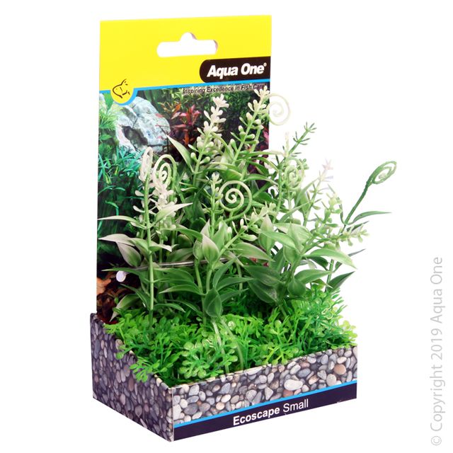 Fountain Small Snow Swirl Green 10cm Aquarium Plant