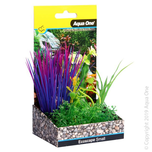 Fountain Small Blyxa Purple 10cm Aquarium Plant