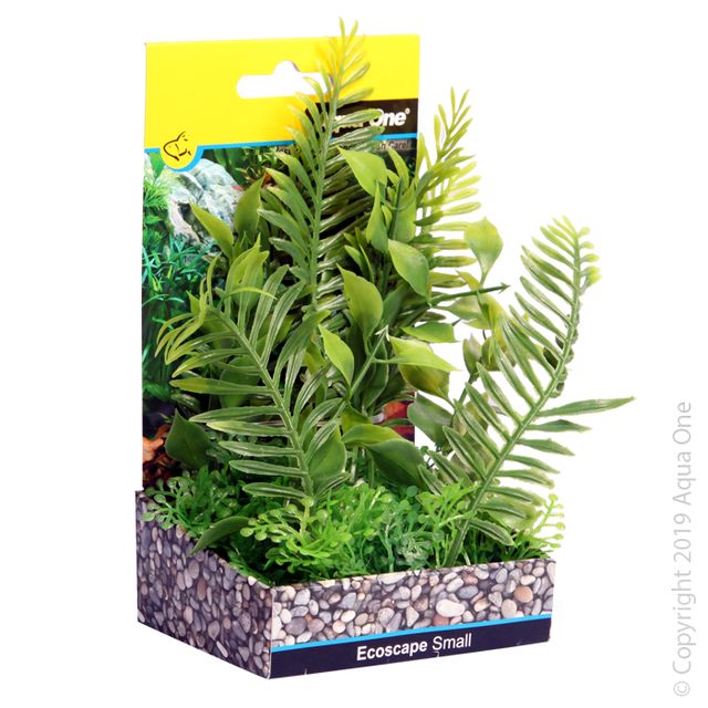 Fountain Small Fern Green 10cm Aquarium Plant