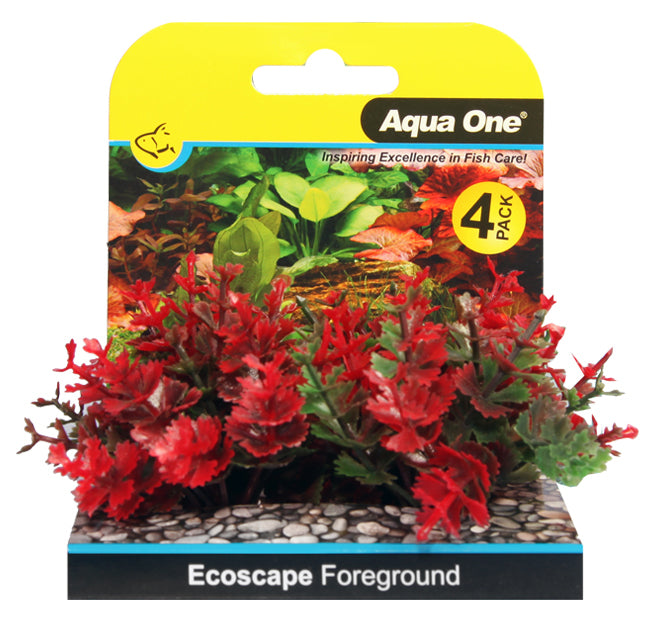 Foreground Aquarium Plants 4pk