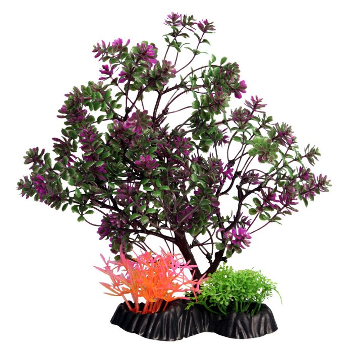 Tree Medium Catspaw Purple 24cm