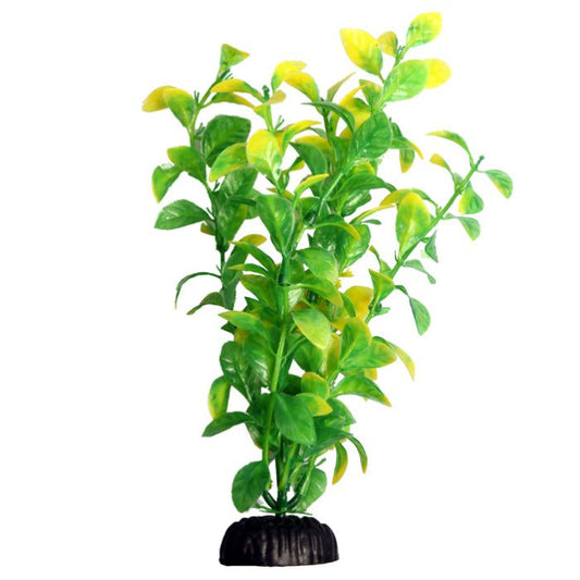 Ecoscape medium Hygro Green 20cm Aquarium Plant