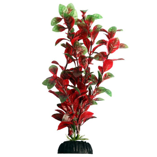 Ecoscape medium Hygro Red 20cm Aquarium Plant