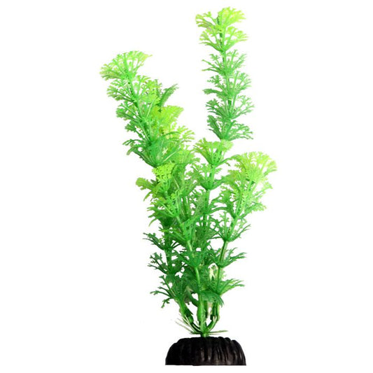 Ecoscape medium Ambulia Green 20cm Aquarium Plant