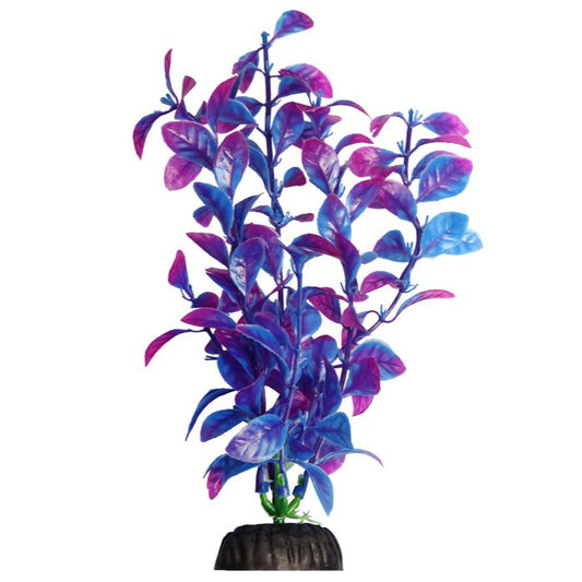 Ecoscape Bright Medium Hygro Blue 20cm. Aquarium Plant