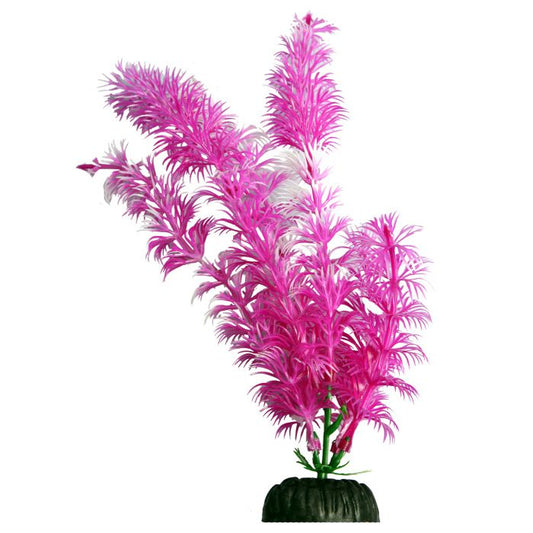 Ecoscape Bright Medium Ambulia Pink 20cm Aquarium Plant