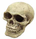 Aqua One Skull Fish Tank Ornament