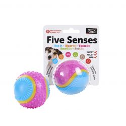 Five Senses Sensory Balls. 6.35cm/8cm. Dog Toy