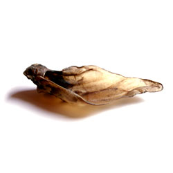 Burns Cows Ears For Dogs