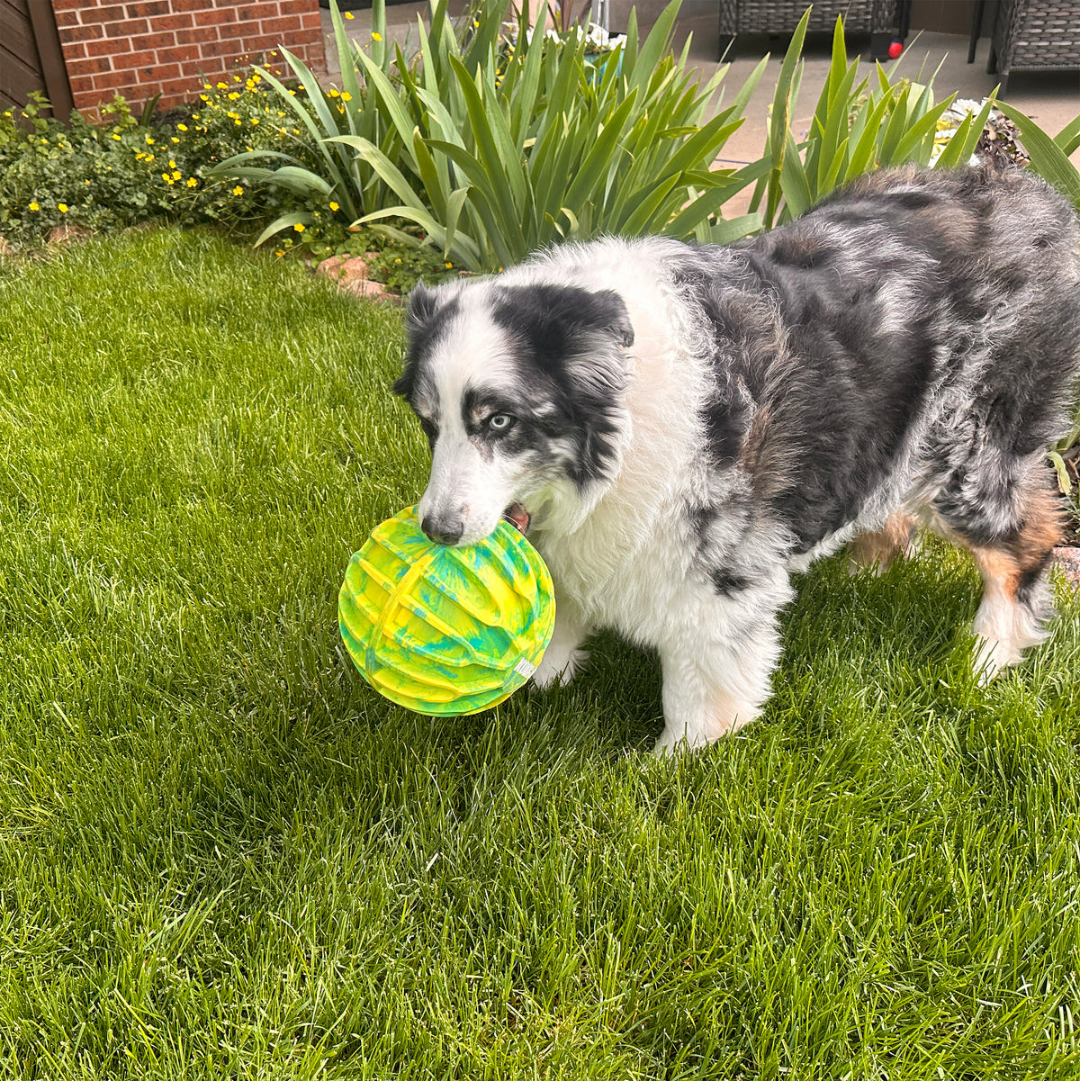 KONG Flexball Sport Ball XL EU - Dog Toy