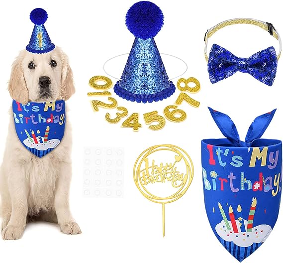 Heyu Lotus Dog Birthday Bandana & Hat Birthday Outfit