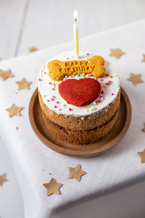 Life Of Riley Doggy Birthday Cake Dog Treat