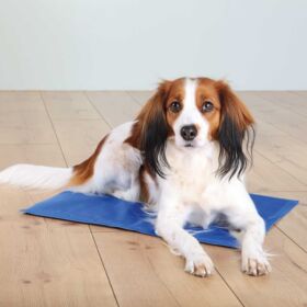 Trixie Cooling Mat For Dogs XL- XXL 100 × 60 cm
blue/grey