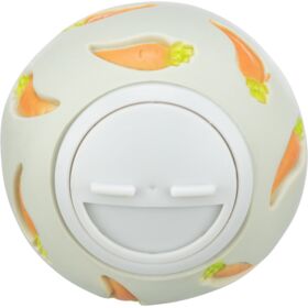 Trixie Snack Ball for Small Animals