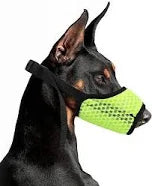 Yaodhaod Dog Muzzle Small Size Green