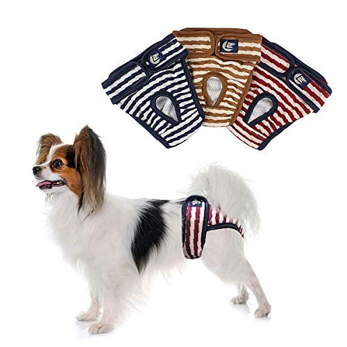 CLEARANCE - PETLASO Dog Nappies Pack of 3 for female dogs