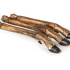 Burns Dog Treats Deer Leg with Fur