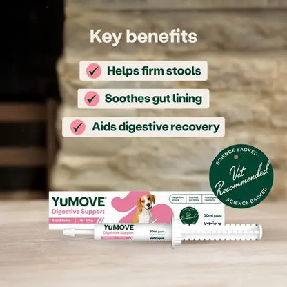 YuMOVE Digestive Care Rapid Pre & Probiotic Paste for Medium Dogs 16 - 30kg