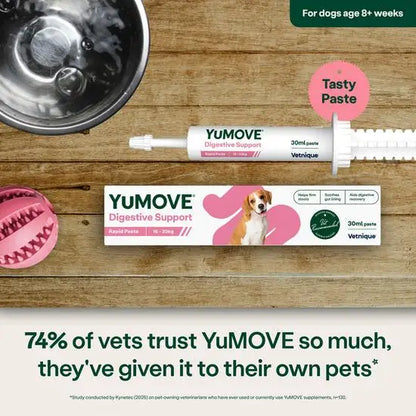 YuMOVE Digestive Care Rapid Pre & Probiotic Paste for Medium Dogs 16 - 30kg