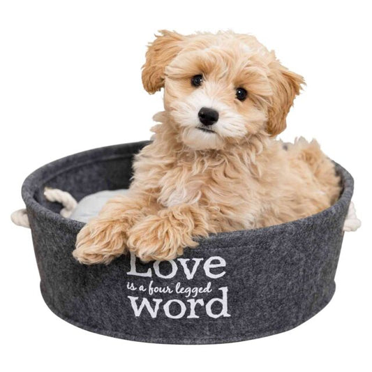 Trixie Lian SmallDog/Cat Round Felt Basket
