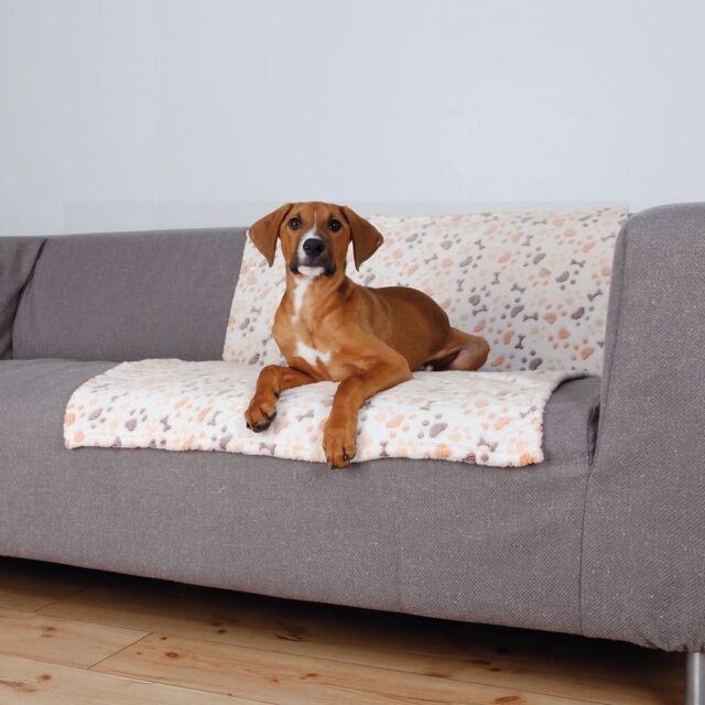 Trixie Dog Blanket, Jimmy Soft
