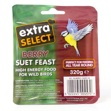 Extra Select Suet Blocks