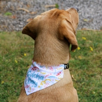 Ancol Gotcha Day Dog Bandana