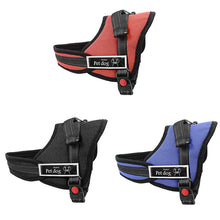 Adjustable Dog Harness, Colours Vary Size Extra Large