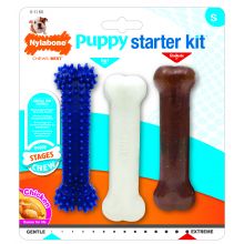 Nylabone Puppy Dog Starter Kit