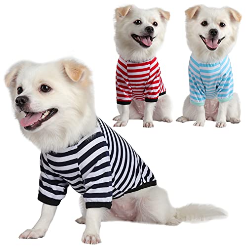 CLEARANCE - Qicheng&lys Dogs T Shirts small 3 pack black/red/blue