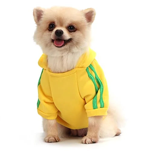 CLEARANCE - Qicheng&lys Dogs T Shirts small yellow with green trim