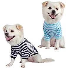 CLEARANCE - Qicheng&lys Dogs T Shirts small 2 pack black/blue