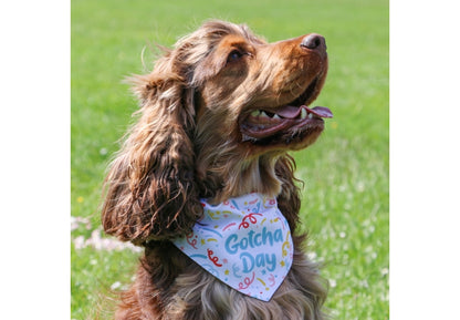 Ancol Gotcha Day Dog Bandana