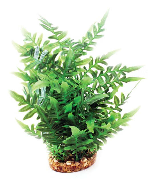 Vibrance-Green Fern With Gravel Base L Aquarium Plant