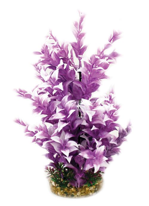 Vibrance-Purple Ludwigia With Gravel Base L Aquarium Plant