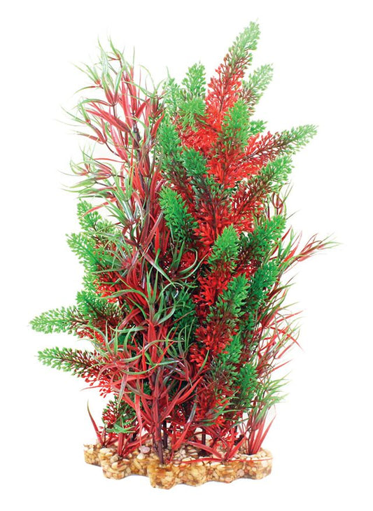 Vibrance-Red Pontederia/Typhs With Gravel Base XL Aquarium Plant