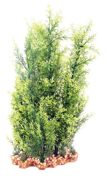 Vibrance-Hygrophila/Ludwigia With Gravel Base XL Aquarium Plant