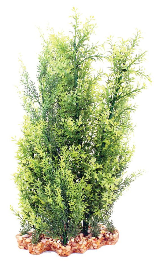 Vibrance-Hygrophila/Ludwigia With Gravel Base XL Aquarium Plant