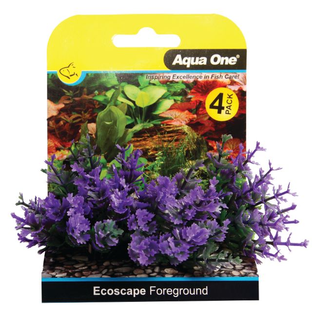 Foreground Cats paw 4pk Purple Aquarium Plants