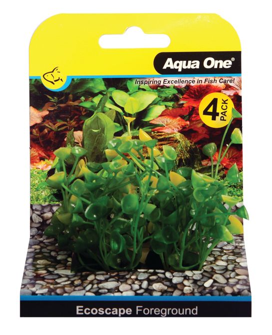 Foreground Ogris Auribus 4pk Yelliw Aquarium Plants