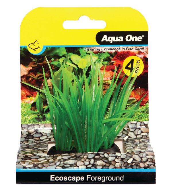 Foreground Lilaeopsis 4pk Green Aquarium Plants