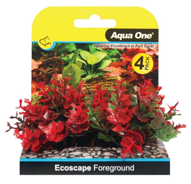 Foreground Catspaw 4pk Red Aquarium Plants