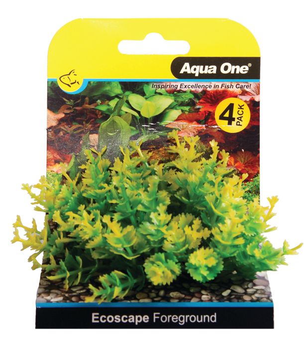 Foreground Catspaw 4pk Yellow Aquarium Plants