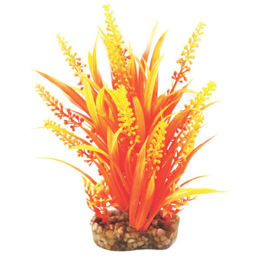 Vibrance- Orange Cabomba withGravel Base M Aquarium Plant