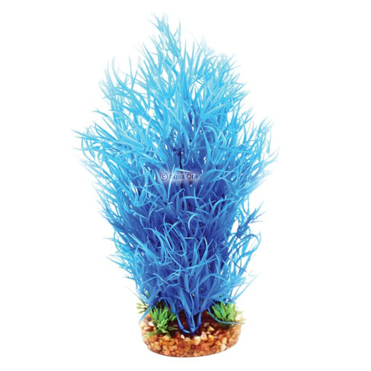 Vibrance- Blue Rotala with Gravel Base L Aquarium Plant