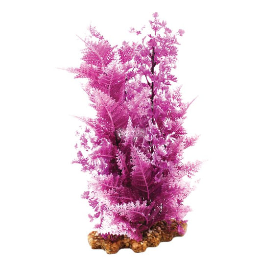 Vibrance- Pink Elatine with Gravel Base XL Aquarium Plant